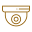 Surveillance Cameras